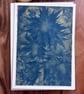 Cyanotype - Sea-Holly Blue - Botanical Card 
