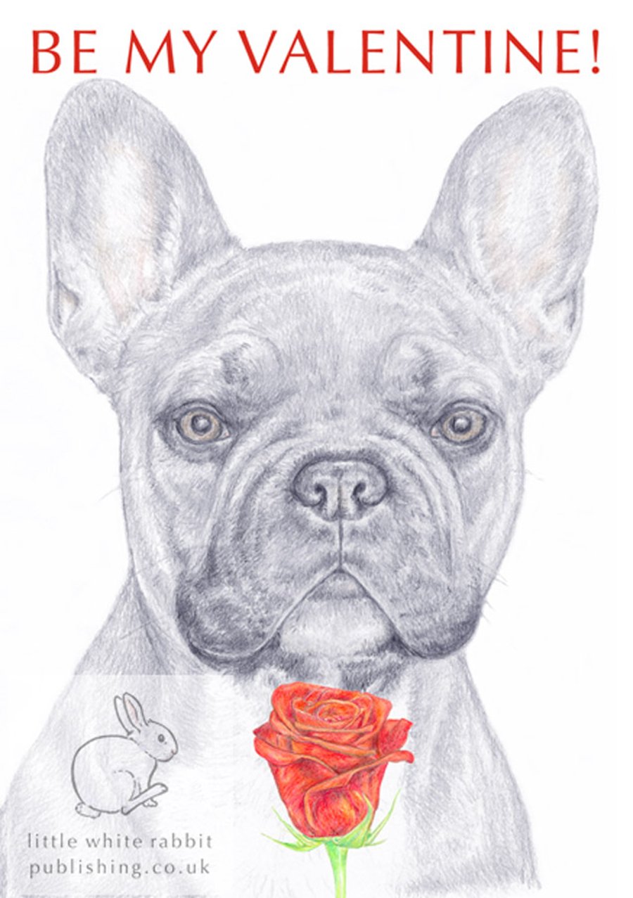 Barney the French Bulldog - Valentine Card