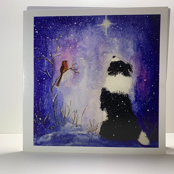 Original Black and White Border Collie Signed by the Artist Christmas Card