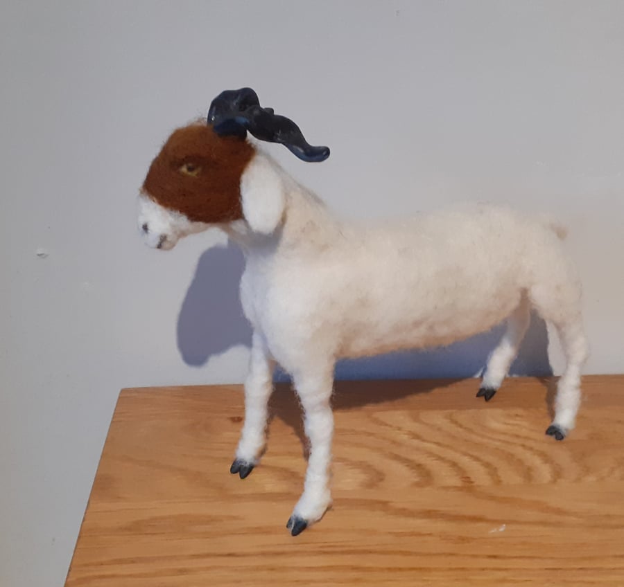 Kiko Goat replica  