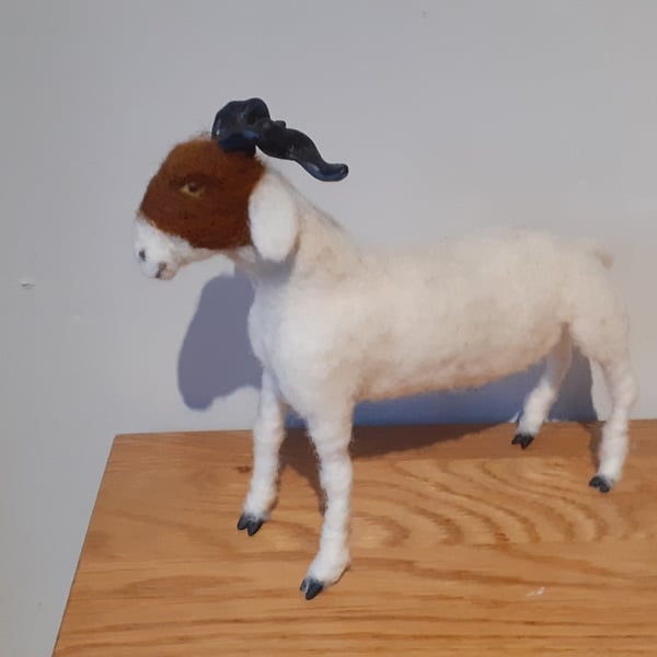 Kiko Goat replica  