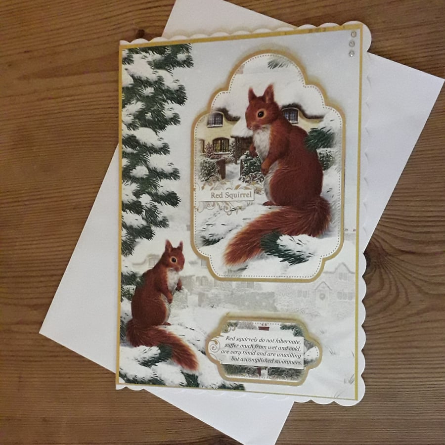 Luxurious Red Squirrel Christmas Card
