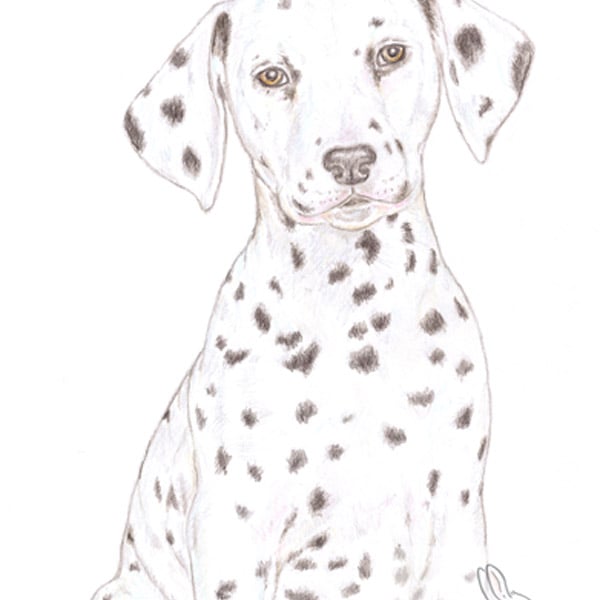 Dot the Dalmatian - Thank You Card