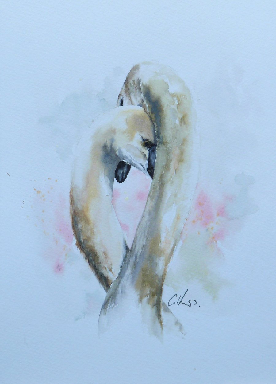 Two Swans, Original Watercolour Painting.