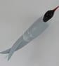 Arctic tern - Image 2