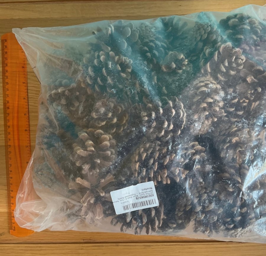 Bag of mixed pine cones.