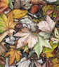 Greetings Card - Blank - Fallen Leaves No.4 - Image 3
