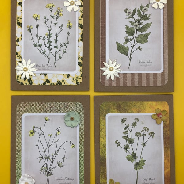 Botanical set of four cards with floral designs 