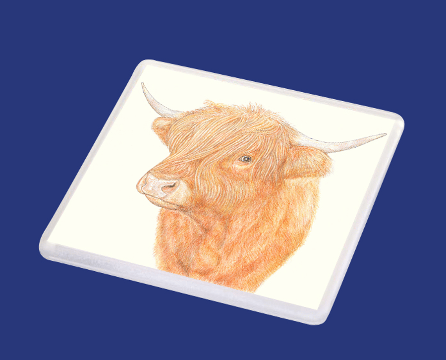 Highland Cow - Coaster