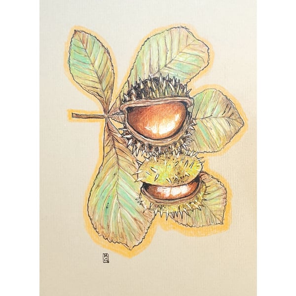 Horse-chestnuts with Leaf Original drawing - autumn art