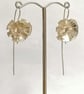 Rough Hawkbit drops, Hawkweed - Image 3