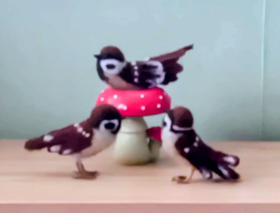 Image of Needle felted sparrow