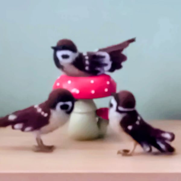 Needle felted sparrow