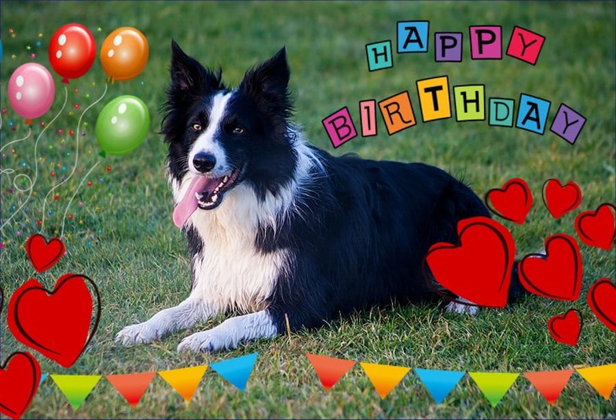 Happy Birthday Collie Dog Card A5 Folksy