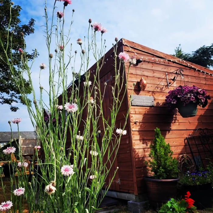 The Good Soap - Let's Go Back To The Bar