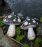 Round Top Galaxy Mushroom Earrings - Image 2