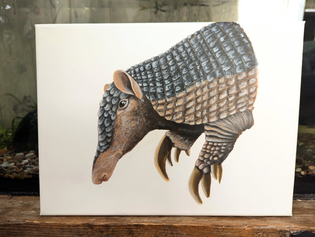 Giant Armadillo Charity Painting 