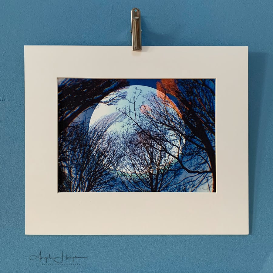 Photograph -Fine Art - Moon with Trees