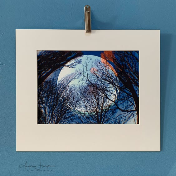 Photograph -Fine Art - Moon with Trees