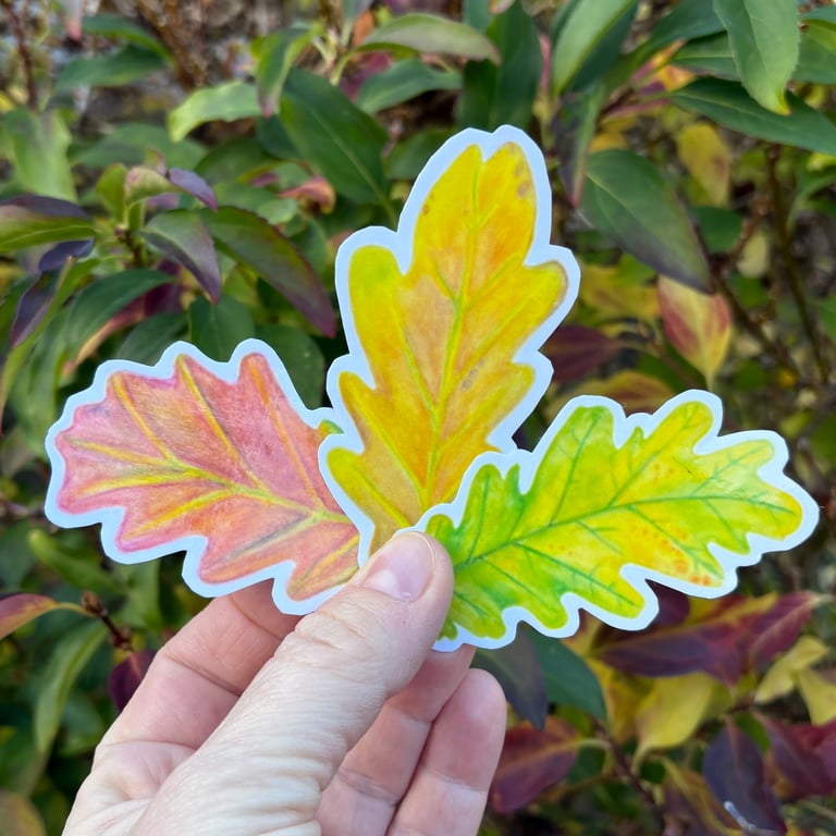 Oak Leaf Stickers - Set of Three