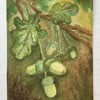 Second Sunday - Acorns ACEO