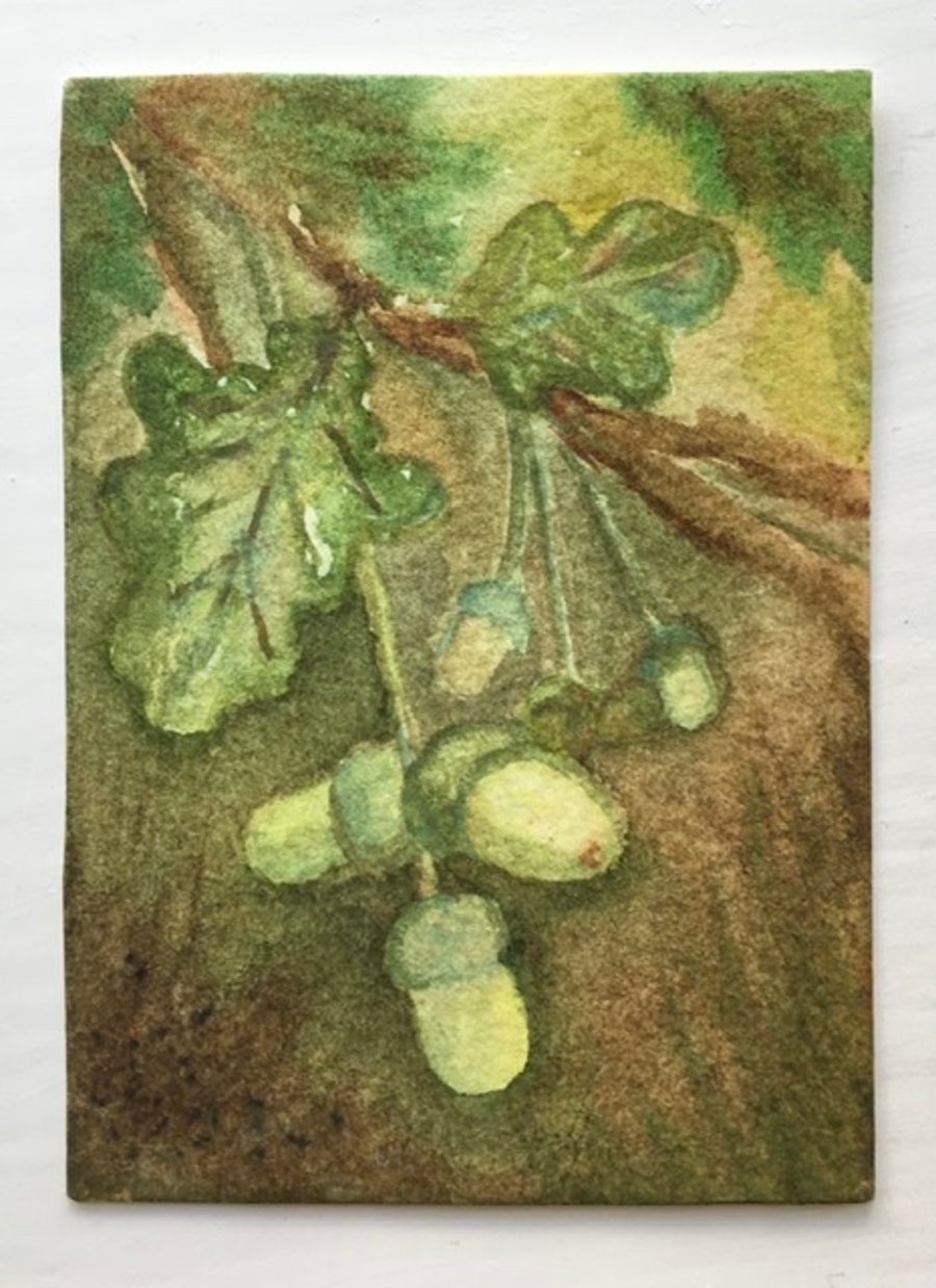 Second Sunday - Acorns ACEO