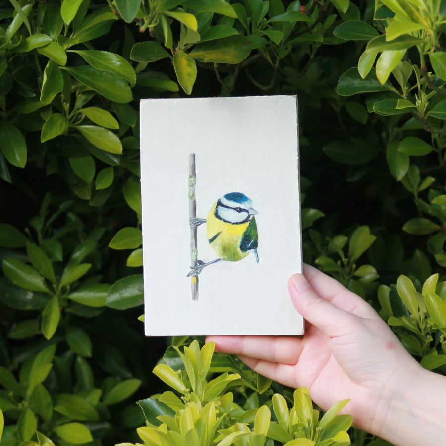 Blue Tit - original acrylic painting