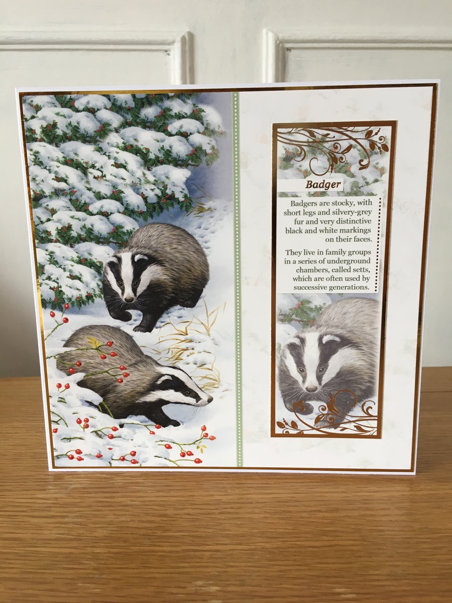 Winter Badger Card - 7 x 7 inches - Blank Inside