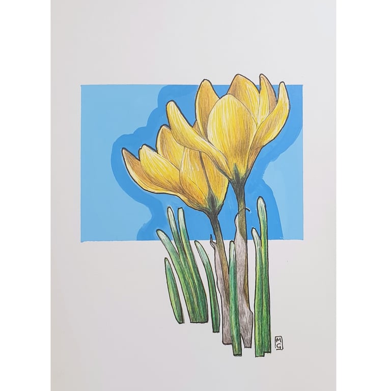 Yellow Crocus Flowers drawing - small original artwork, floral wall decor