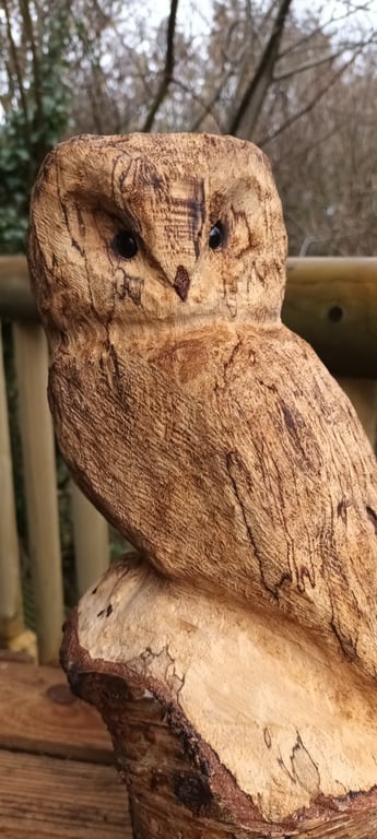 Birch Owl Carving