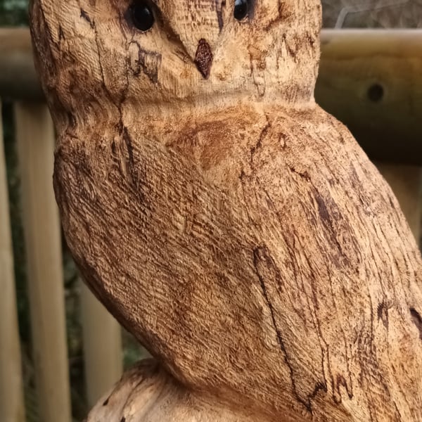 Birch Owl Carving