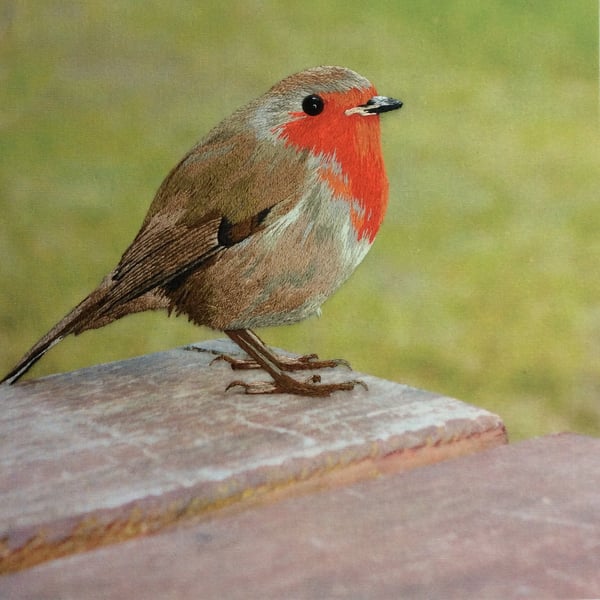 Robin - silk shading, hand embroidery, hand stitched, mixed media picture