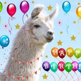 A5 Llama Alpaca Birthday Card 