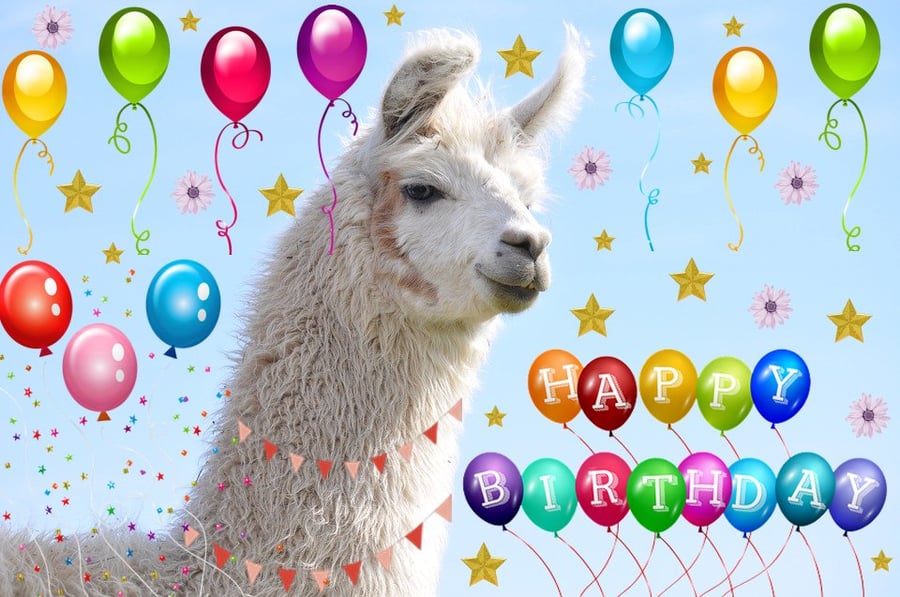 A5 Llama Alpaca Birthday Card 
