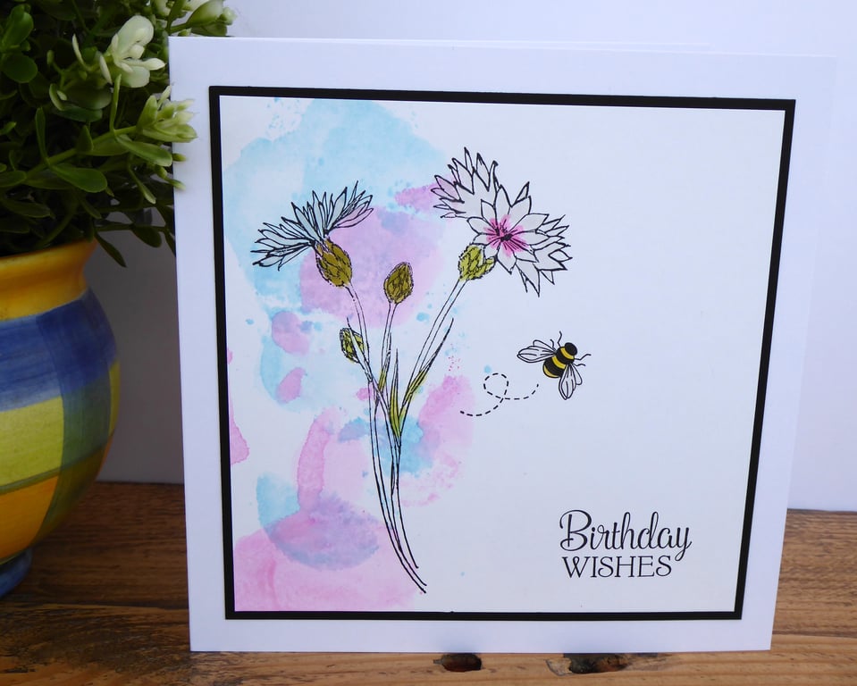 C3420 Birthday Wishes