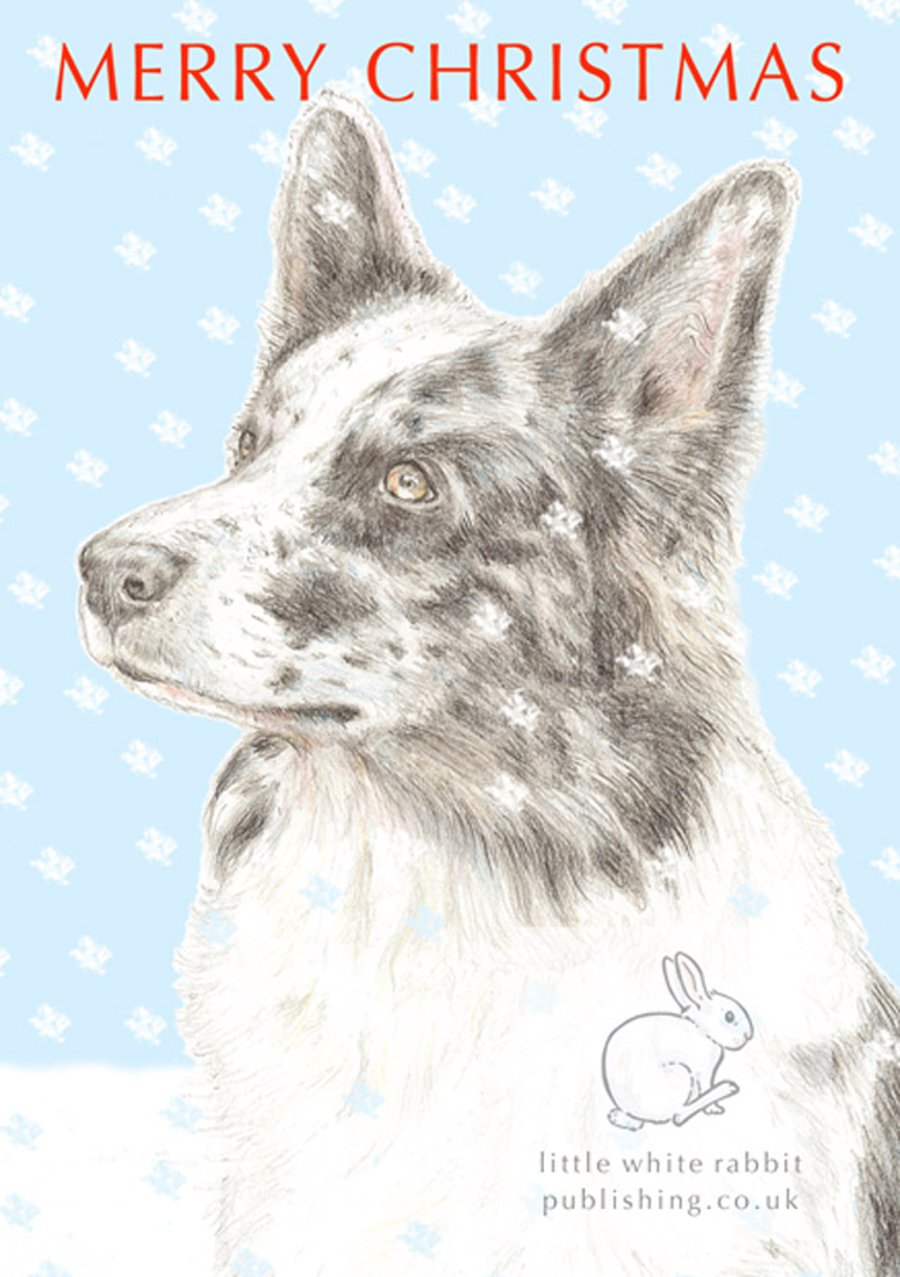 Nixi the Border Collie -  Christmas Card