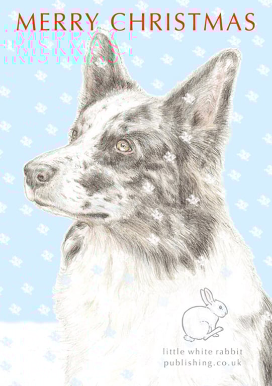Nixi the Border Collie -  Christmas Card