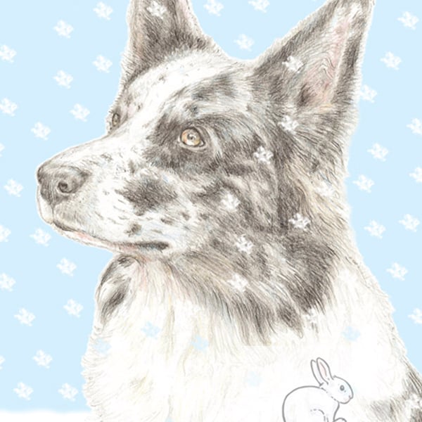 Nixi the Border Collie -  Christmas Card