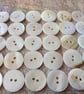 18mm almost 3 4" River Shell Rainbow - Image 2