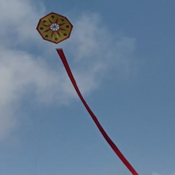 Bermudan Octagon - Handmade Kite