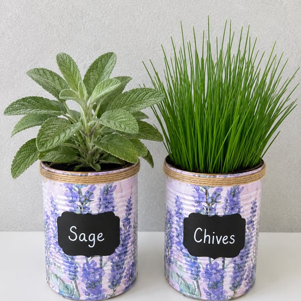 Lavender floral grow your own herb gift set 