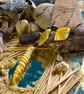 Yellow marble set