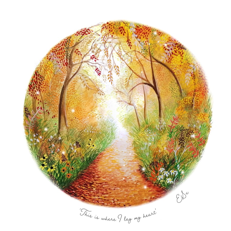 Autumn Woodland 