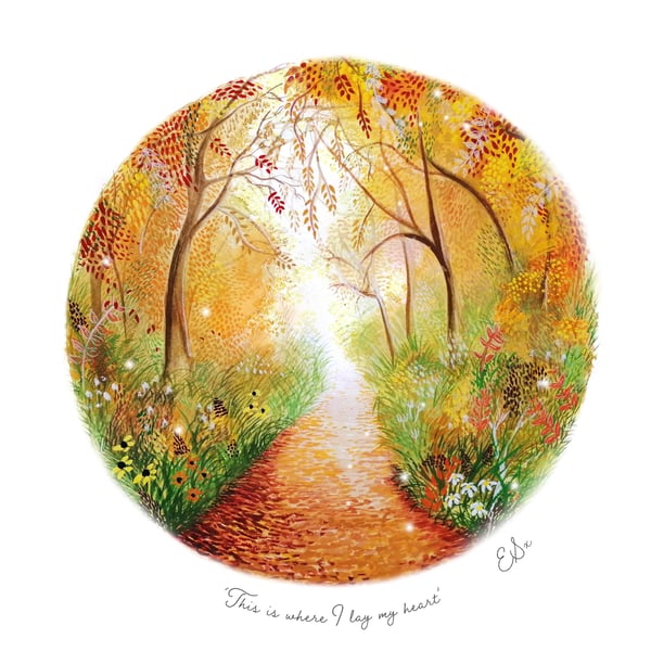 Autumn Woodland 