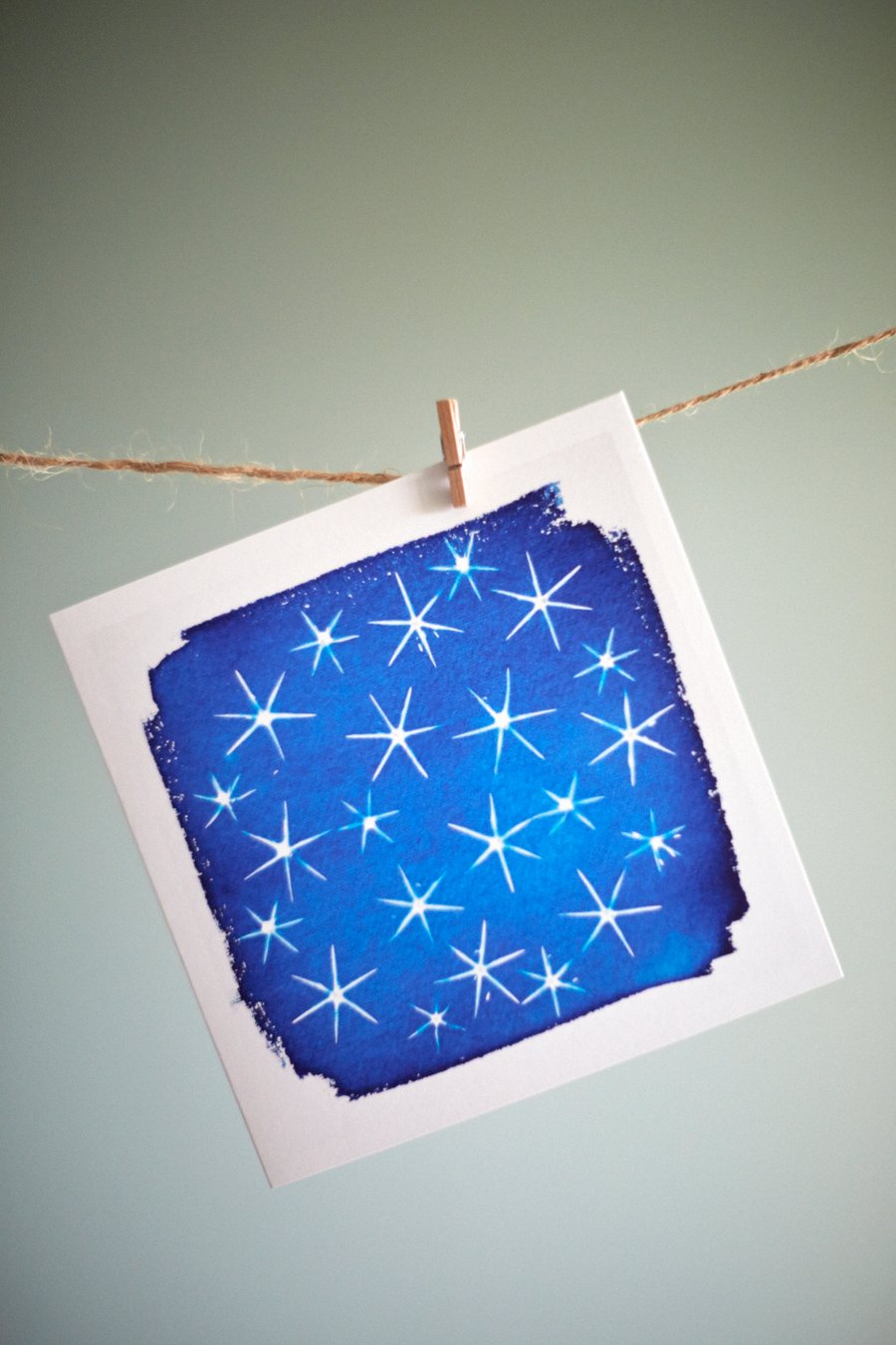 Allium Stars from original cyanotype