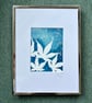 Original cyanotype "maple leaves" - mounted in a 3x4inch silver frame