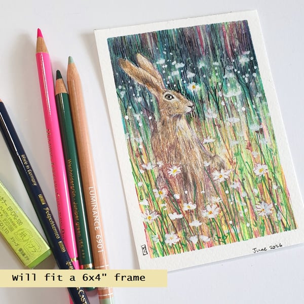 Hare in a wildflower meadow, small original artwork, letterbox gift