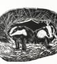 Twilight Badgers  - Image 1
