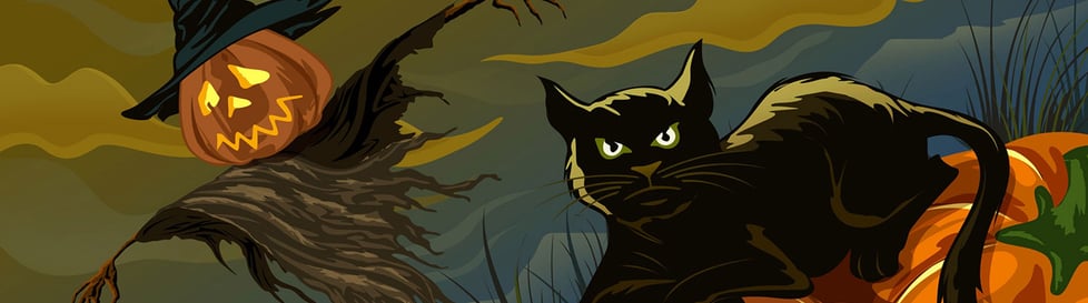 The Midnight Crafter