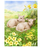 Two Cumbrian Lambs print by Valerie Greeley
